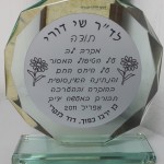 תעודות הוקרה / דוקטור שי דורי